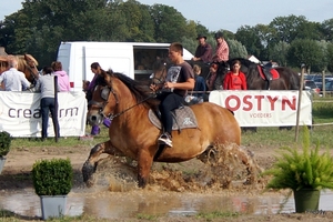 Trekpaarden-1 september-Roeselare-2013