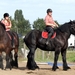 Trekpaarden-1 september-Roeselare-2013