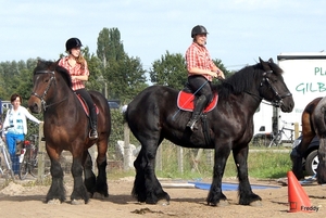 Trekpaarden-1 september-Roeselare-2013