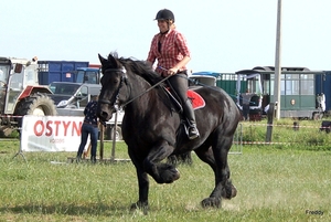 Trekpaarden-1 september-Roeselare-2013