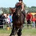 Trekpaarden-1 september-Roeselare-2013