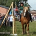 Trekpaarden-1 september-Roeselare-2013