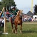 Trekpaarden-1 september-Roeselare-2013