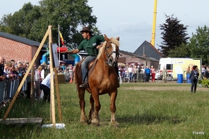 Trekpaarden-1 september-Roeselare-2013