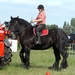 Trekpaarden-1 september-Roeselare-2013