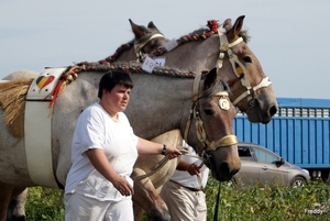 Trekpaarden-1 september-Roeselare-2013