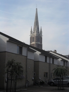 SDC11390