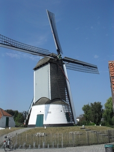 SDC11393