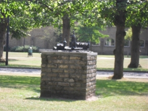 SDC11395
