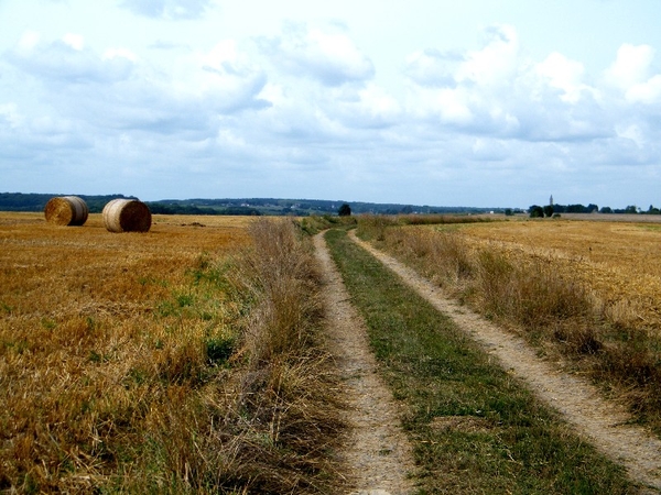 marche adeps anthe