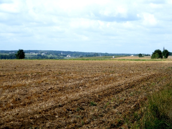 marche adeps anthe