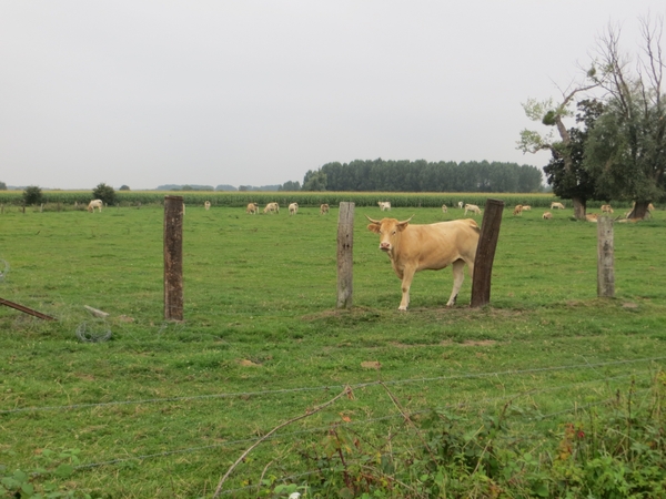 2013-08 30 Tournai 007