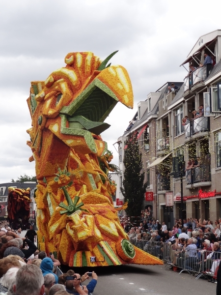 Gekkengoud : winnaar