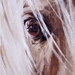 eye