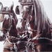 two horses