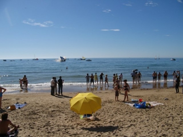 IMG_1229 [800x600] [640x480]