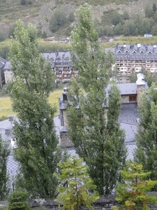DSC00728