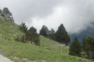 DSC00834