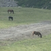 DSC00837