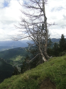 DSC00851