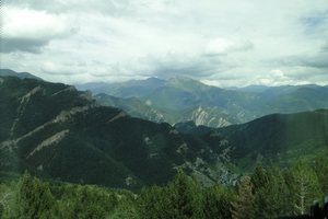 DSC00854