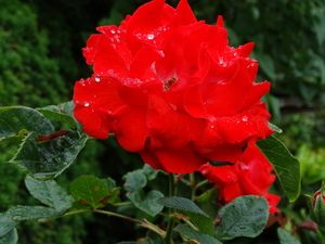 DSC00142