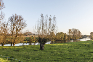 Oude Leie Grammene