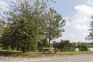 Wandeling in tuinen van kasteel