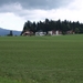 P8105515