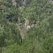 P8246066
