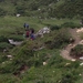 IMG_1545