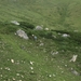 P8155797