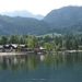 P8115590