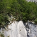 P8115621