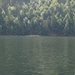 P8115626