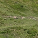 P8175868