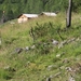 P8225989