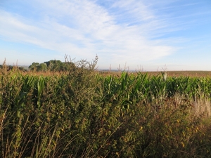 2013-09-07 Westouter 010