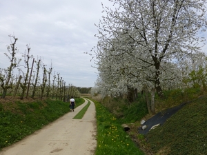 Borgloon 2013 04 28 (7)