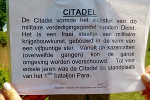 harten vijf(tig) Diest (69)