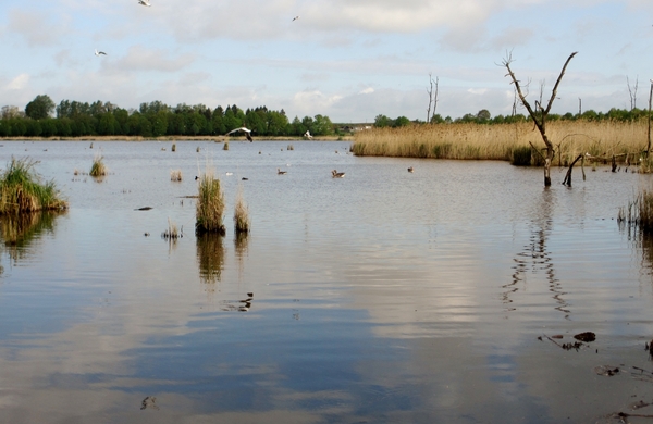 Sint-Truiden 2013 05 09 (12)