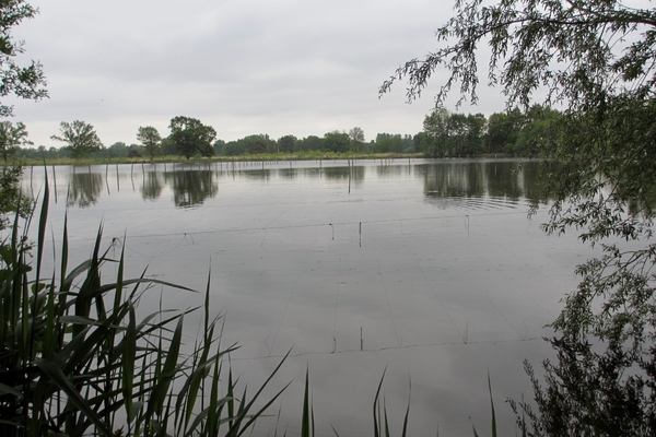 Zonhoven-Heidestrand 2013 06 04 (14)