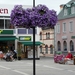 week 1 zweden 097