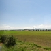 DSCN9869