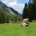 DSCN0135