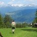 DSCN0140