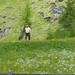 DSCN0229