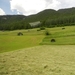 DSCN0262