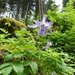 DSCN0291