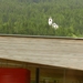DSCN0312
